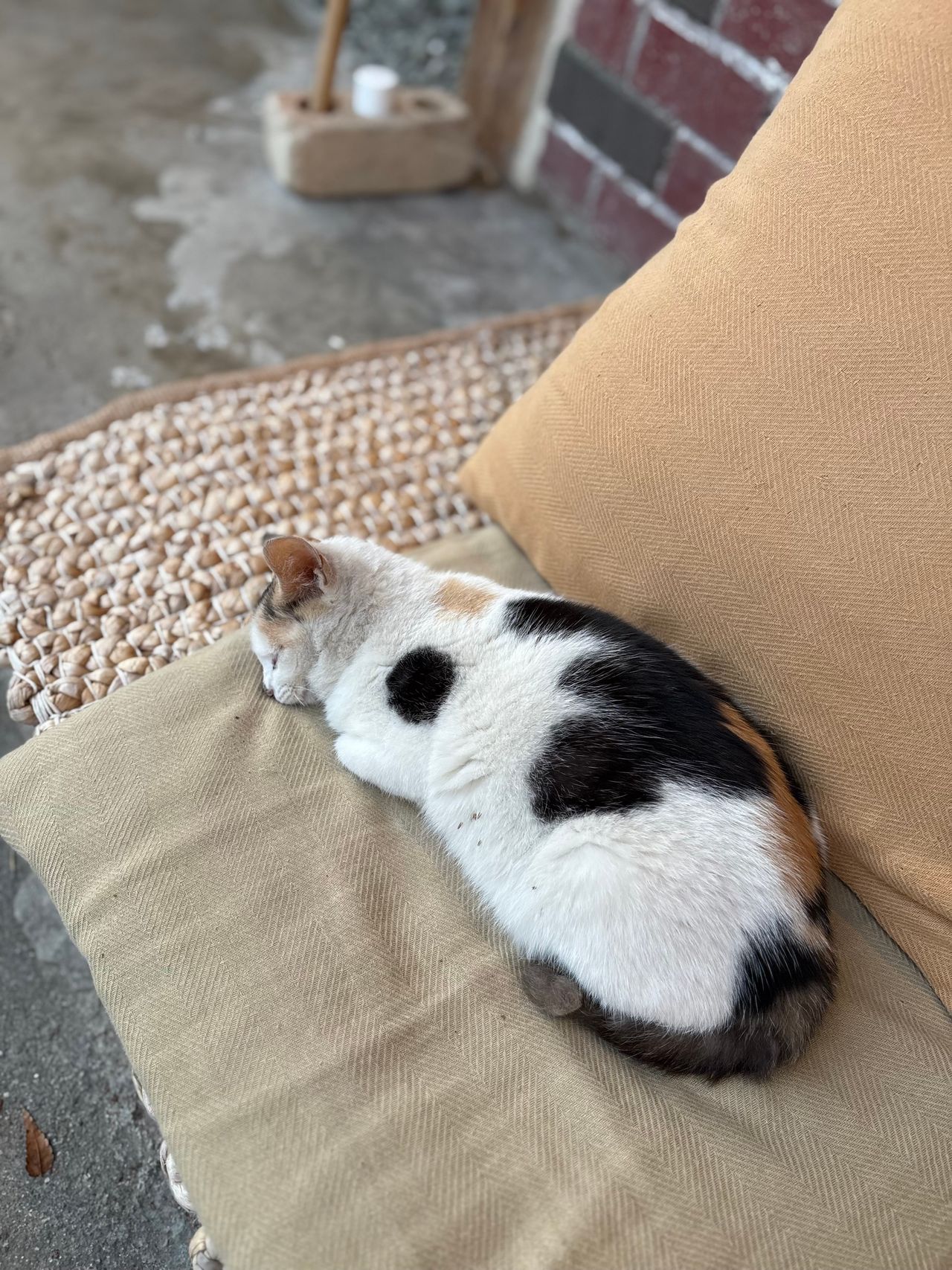 [딴짓] 기다리기