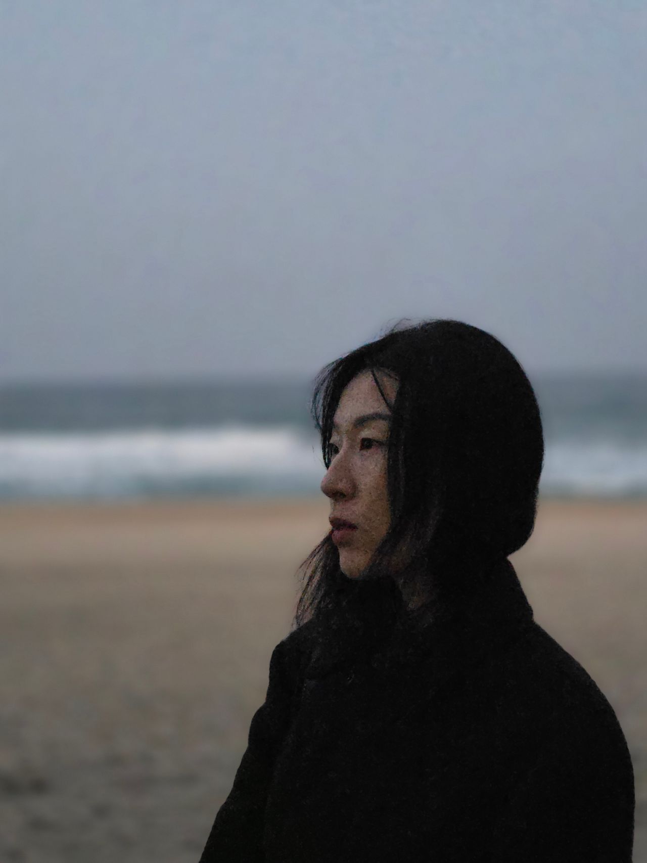 손효정_시나리오 작가, 번역가